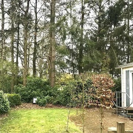 Bos Chalet In Op De Veluwe Casa de Férias