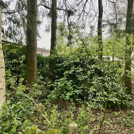 Bos Chalet In Op De Veluwe Casa de Férias Epe