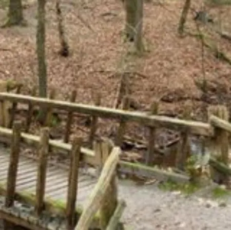 Casa de Férias Bos Chalet In Op De Veluwe Epe