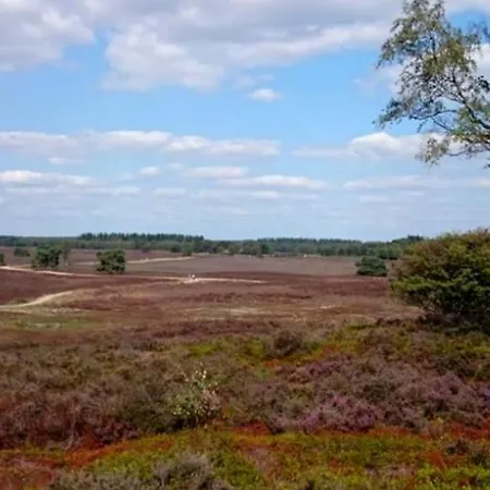 Bos Chalet In Op De Veluwe Casa de Férias *